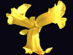 Yellow Iris